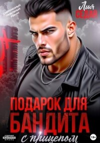 Подарок для бандита. С прицепом - Седая Лия (книги бесплатно TXT, FB2) 📗