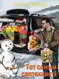 Тот самый сантехник 9 (СИ) - Мазур Степан Александрович (читать книги онлайн регистрации txt, fb2) 📗