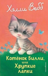 Котёнок Билли, или Хрупкие лапки - Вебб Холли (читать книги полностью txt, fb2) 📗