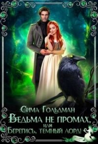 Ведьма не промах, или Берегись, темный лорд (СИ) - Гольдман Сима (читать книги онлайн бесплатно полностью TXT, FB2) 📗