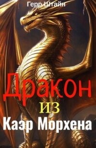 Дракон из Каэр Морхена (СИ) - Штайн Герр (книги бесплатно без онлайн txt, fb2) 📗