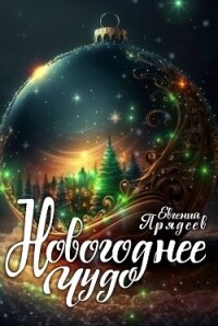 Новогоднее чудо - Прядеев Евгений (книга регистрации txt, fb2) 📗