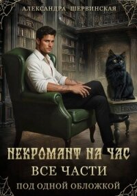 Некромант на час (сборник) - Шервинская Александра Юрьевна "Алекс" (книга бесплатный формат .TXT, .FB2) 📗