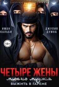 Четыре жены моего мужа. Выжить в гареме (СИ) - Кальби Иман (читать книги онлайн txt, fb2) 📗