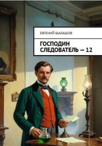 Господин следователь. Книга 12 (СИ) - Шалашов Евгений Васильевич (лучшие книги онлайн TXT, FB2) 📗