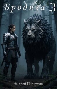 Бродяга 3 (СИ) - Первухин Андрей Евгеньевич (читать полностью книгу без регистрации TXT, FB2) 📗