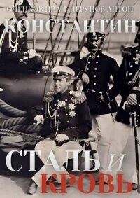 Сталь и Кровь (СИ) - Оченков Иван Валерьевич (читаем книги онлайн без регистрации .txt, .fb2) 📗