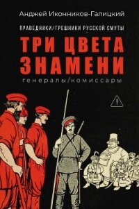 Праведники / грешники русской смуты. Книга 2. Три цвета знамени: Генералы / комиссары - Иконников-Галицкий Анджей Анджеевич