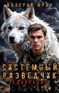 Системный разведчик. Адаптация. Том 3 (СИ) - Юрич Валерий (бесплатные книги полный формат txt, fb2) 📗
