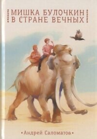 Мишка Булочкин в стране вечных - Саломатов Андрей Васильевич (читаемые книги читать онлайн бесплатно txt, fb2) 📗