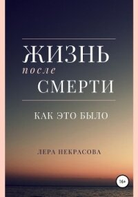 Жизнь после смерти: как это было - Некрасова Лера (бесплатные книги онлайн без регистрации txt, fb2) 📗