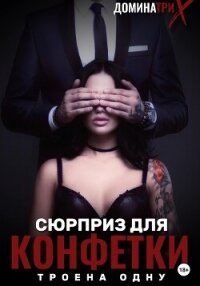 Сюрприз для конфетки: трое на одну - "ДОМИНАТРИКС" (книги бесплатно полные версии TXT, FB2) 📗