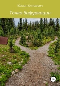 Точка бифуркации - Климович Юлиан (читать книги онлайн без .txt, .fb2) 📗