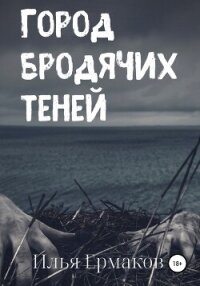 Город бродячих теней - Ермаков Илья Сергеевич (чтение книг txt, fb2) 📗