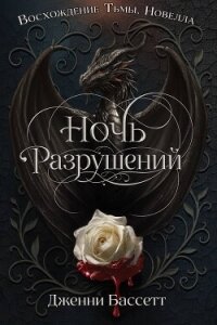 Ночь разрушений (ЛП) - Бассетт Дженни (книги без сокращений txt, fb2) 📗