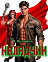 Наладчик (СИ) - Высоцкий Василий (мир бесплатных книг .txt, .fb2) 📗