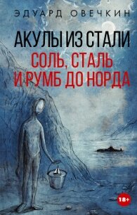 Акулы из стали. Соль, сталь и румб до Норда - Овечкин Эдуард Анатольевич (лучшие книги читать онлайн бесплатно .txt, .fb2) 📗