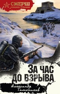 За час до взрыва - Тамоников Александр Александрович (читаем книги онлайн без регистрации .TXT, .FB2) 📗