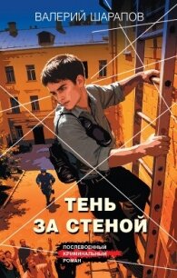 Тень за стеной - Шарапов Валерий (читать книги онлайн бесплатно полностью без .txt, .fb2) 📗