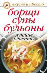 Алоэ, чистотел, каланхоэ. Лучшие рецепты народной медицины - Николаева Юлия Николаевна (читаем книги онлайн бесплатно .txt, .fb2) 📗