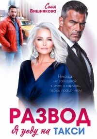 Развод. Я уеду на такси - Вишнякова Соня (читать книгу онлайн бесплатно полностью без регистрации txt, fb2) 📗