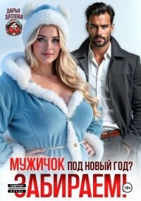 Мужичок под новый год? Забираем! - Дятлова Дарья (читать книги онлайн полностью без сокращений txt, fb2) 📗