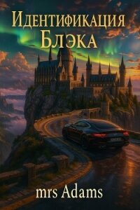 Идентификация Блэка (СИ) - "mrs Addams" (серии книг читать бесплатно TXT, FB2) 📗