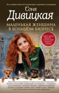 Маленькая женщина в большом бизнесе - Дивицкая Соня (книги бесплатно без .TXT, .FB2) 📗