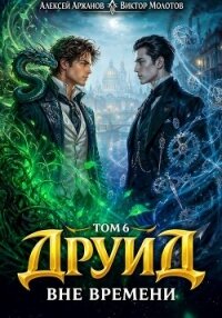 Друид. Вне времени (СИ) - Молотов Виктор (читать полные книги онлайн бесплатно txt, fb2) 📗