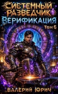 Верификация Том 6 (СИ) - Юрич Валерий (читаем полную версию книг бесплатно txt, fb2) 📗