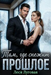 Там, где снежит прошлое - Луговая Леся (читать полную версию книги txt, fb2) 📗