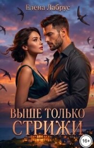 Выше только стрижи (СИ) - Лабрус Елена (книга регистрации .txt, .fb2) 📗