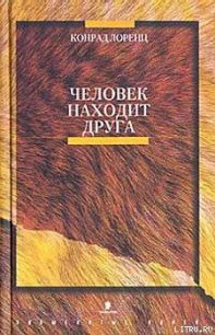 Человек находит друга - Лоренц Конрад З. (книги без регистрации бесплатно полностью сокращений TXT) 📗