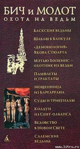 Бич и молот. Охота на ведьм в XVI-XVIII веках - Антология (книга регистрации txt) 📗