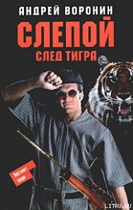 След тигра - Воронин Андрей Николаевич (книги хорошем качестве бесплатно без регистрации .txt) 📗