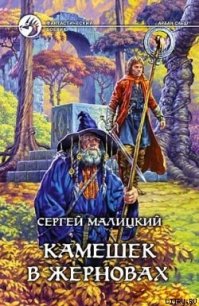 Камешек в жерновах - Малицкий Сергей Вацлавович (читаемые книги читать онлайн бесплатно полные .txt) 📗