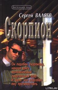 Скорпион - Валяев Сергей (читаемые книги читать онлайн бесплатно TXT) 📗