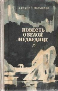 Пират - Марысаев Евгений Клеоникович (читать книги онлайн полностью TXT) 📗