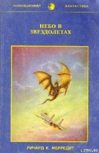 Небо в звездолетах - Мередит Ричард К. (книги без регистрации бесплатно полностью TXT) 📗