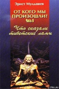 Что сказали тибетские ламы - Мулдашев Эрнст Рифгатович (бесплатные полные книги TXT) 📗