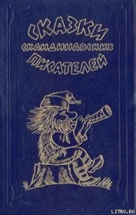 Вечер в соседской усадьбе - Асбьёрнсен Петер Кристен (лучшие книги читать онлайн бесплатно .TXT) 📗