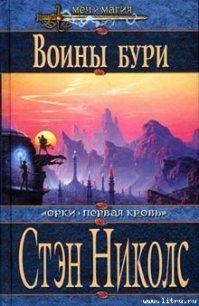 Воины Бури - Николс Стэн (книги бесплатно txt) 📗