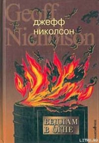 Бедлам в огне - Николсон Джефф (онлайн книги бесплатно полные .txt) 📗