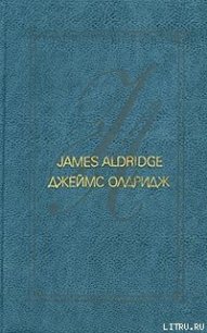 Морской орел - Олдридж Джеймс (библиотека книг txt) 📗