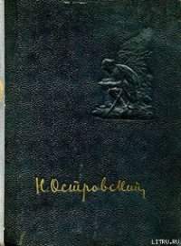 Рожденные бурей - Островский Николай Алексеевич (лучшие книги онлайн txt) 📗