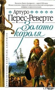 Золото короля - Перес-Реверте Артуро (читать книги онлайн полностью .txt) 📗