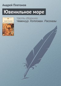 Ювенильное море - Платонов Андрей Платонович (читать книги бесплатно полностью без регистрации сокращений .txt) 📗