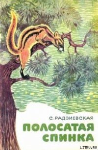 Полосатая спинка. Рассказы - Радзиевская Софья Борисовна (читаем книги онлайн бесплатно .txt) 📗