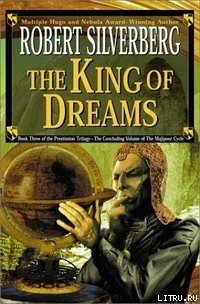 Король снов - Сильверберг Роберт (онлайн книги бесплатно полные .txt) 📗