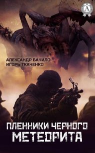 Пленники черного метеорита - Бачило Александр Геннадьевич (читать книги онлайн бесплатно полностью без .txt) 📗